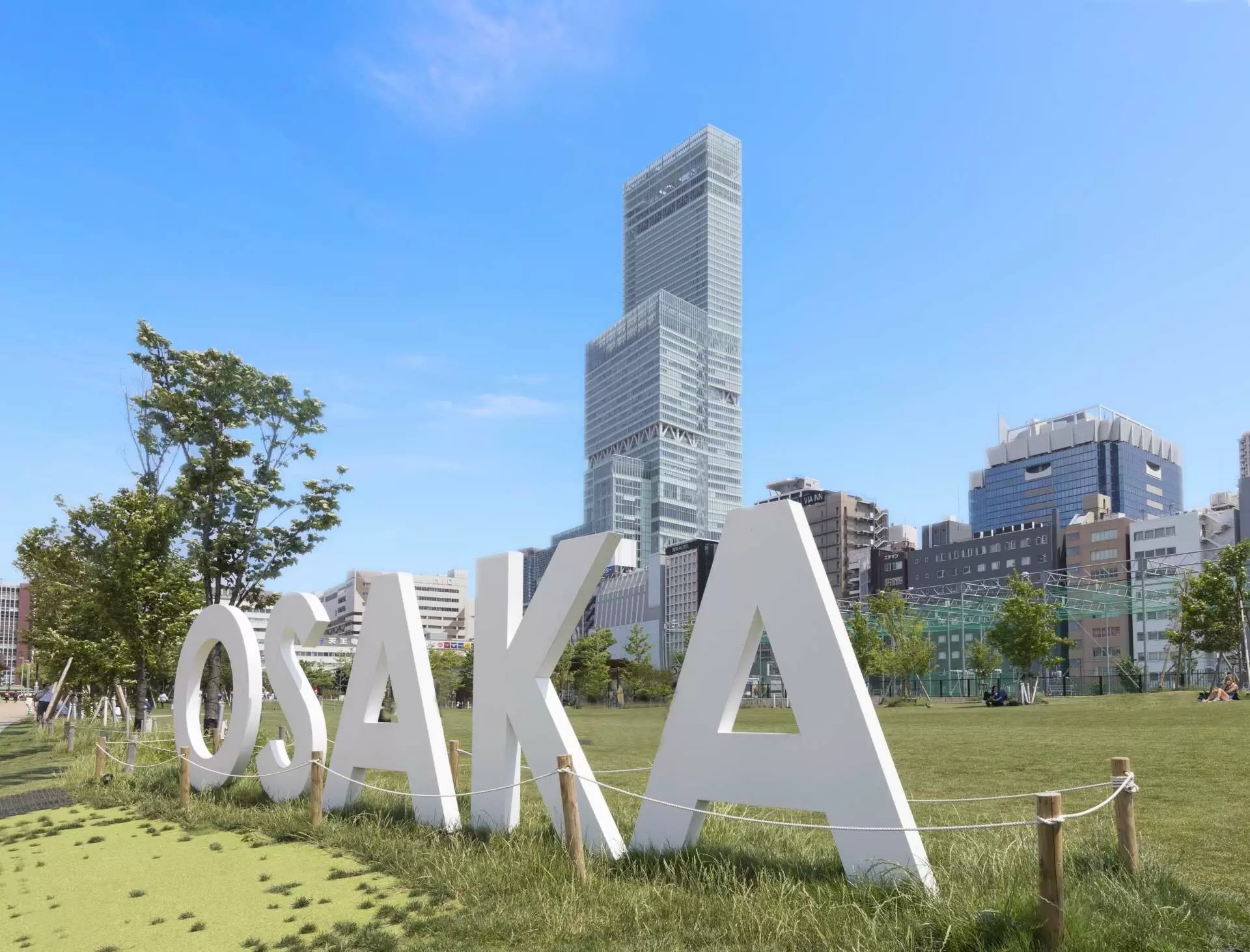 🌳 덴노지 잔디밭 (텐시바) 이미지 6